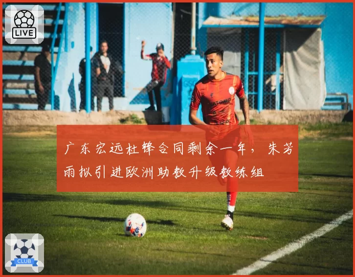 广东宏远杜锋合同剩余一年，朱芳雨拟引进欧洲助教升级教练组